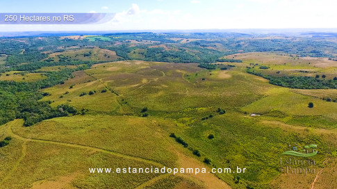 Gilberto Monteiro - Pra ti guria [VDownloader].00_02_30_20.Quadro031_7cfe6b5e464dd731f9db53962b437a03b978e3cb.jpg